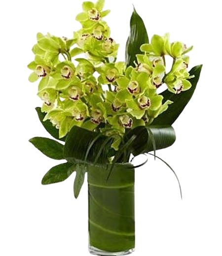 Cymbidium Orchid arrangement , 2 days notice please . Long lasting - &lt;p&gt;Denver Flower Pros offers this classic and exotic Cymbidium orchid arrangement . This cannot be for same day delivery . We have to special order the Cymbidiums . We might be able to do the arrangement in a different or Mixed Color for next day . Tastefully created with cymbidium orchids and lush foliage's This item is subject to availability.&lt;/p&gt;