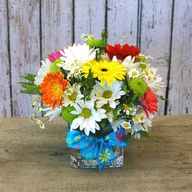 daisy lane in sacramento ca madison avenue florist