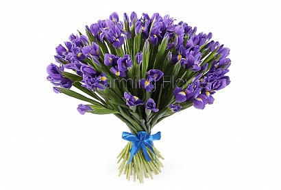 Iris Bouquet No Vase By Charming Flower English Russkij
