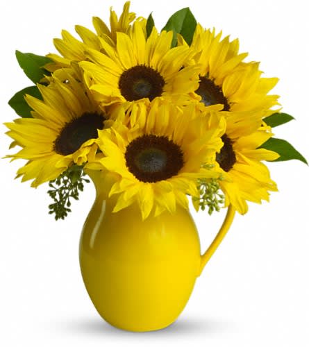 Teleflora's Sunny Day Pitcher of Sunflowers Teleflora's Sunny Day Pitcher of Sunflowers - Pour on the fun by sending this dazzling bouquet of summer's brightest blooms! Great if you're invited to a pool party BBQ or just want to brighten up someone's day. Stunning sunflowers salal and seeded eucalyptus are beautifully arranged in a brilliant yellow ceramic pitcher. This gift will be serving up fun and sun for years to come.Approximately 13" W x 15 1/2" H Orientation: All-Around As Shown : T153-1ADeluxe : T153-1BPremium : T153-1C