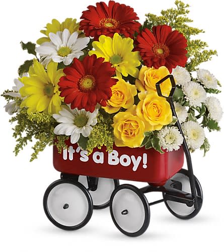 Baby's Wow Wagon by Teleflora - Boy Baby's Wow Wagon by Teleflora - Boy - Talk about the perfect welcome wagon! Available for boys and girls this darling keepsake will be cherished for years. Bright cheerful and ready to "roll" right into the nursery. Pretty yellow spray roses red miniature gerberas and matsumoto asters white and yellow daisy spray chrysanthemums white button spray chrysanthemums and solidago are lovingly arranged in a wagon. The wow factor is now officially off the charts!Approximately 11" W x 11 1/2" H Orientation: One-Sided As Shown : T35-1ADeluxe : T35-1BPremium : T35-1C