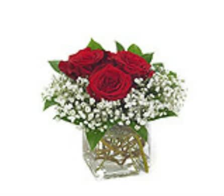 Be Mine Be Mine - 3 roses with your chose of color surrounded by babys breath is sure to please anyone for Valentine's Day. As Shown : BVD 982 Available for local delivery only