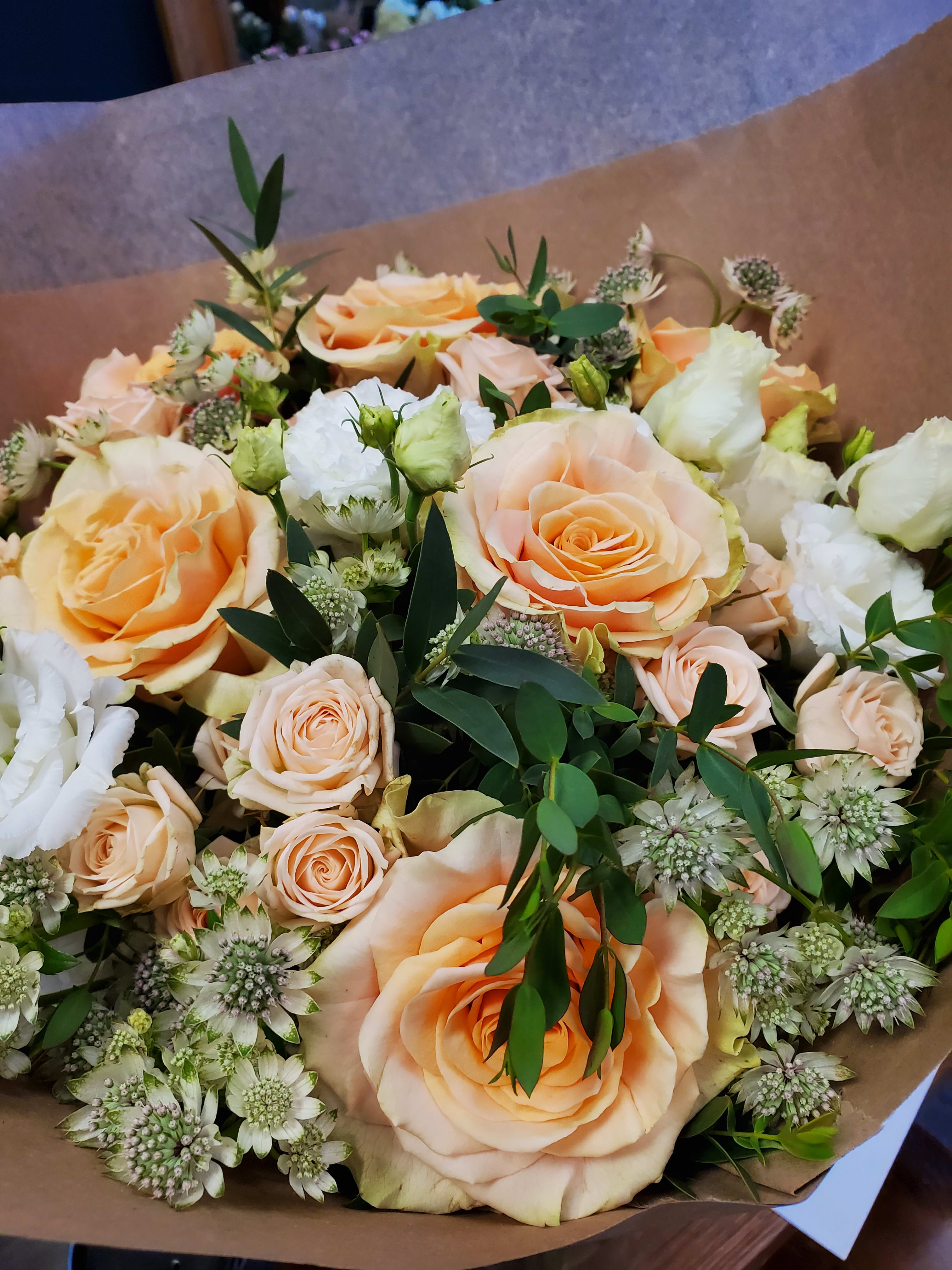 Just Like Heaven In Brooklyn Ny Primrose