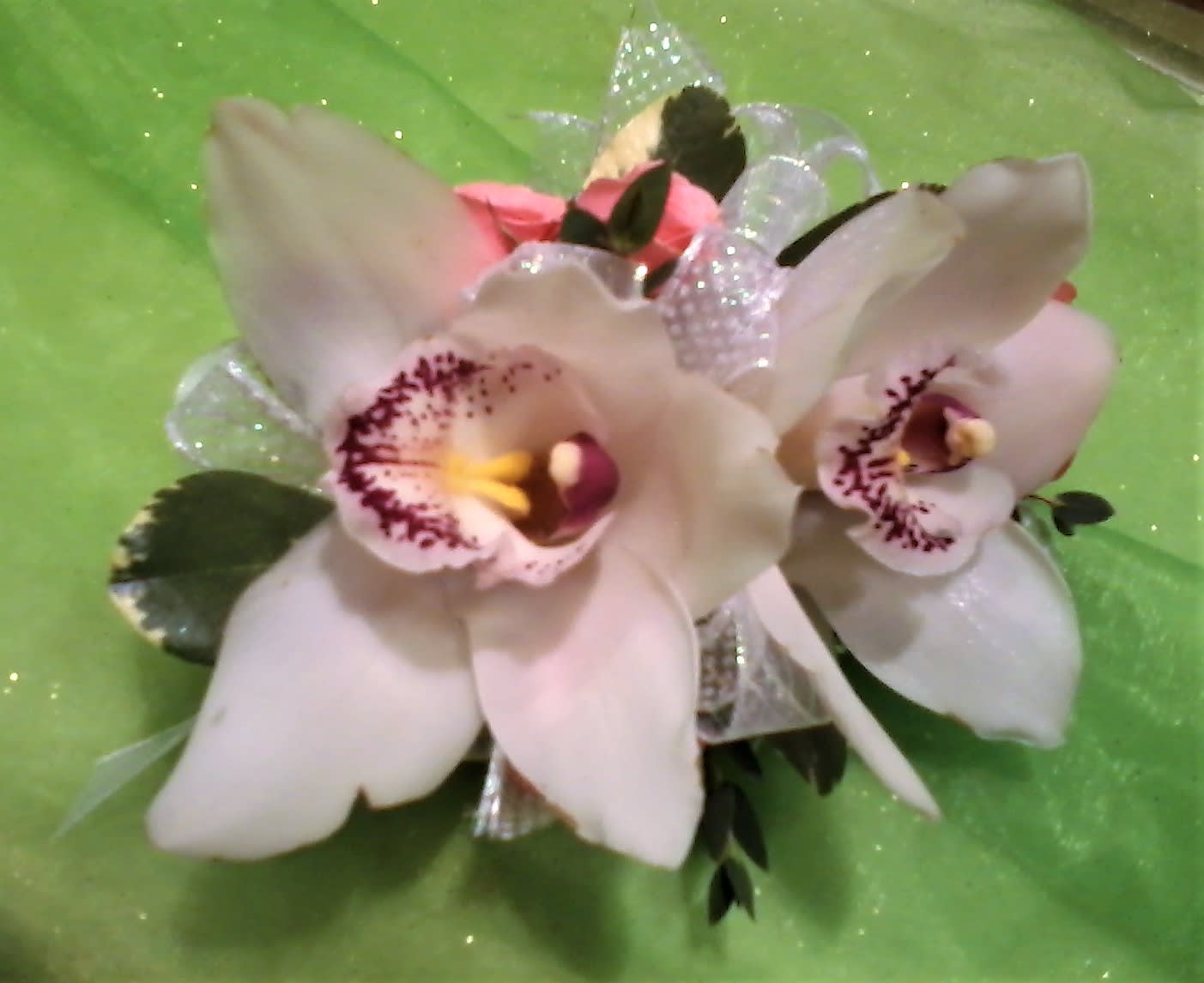 White Cymbidium Orchid Corsage By Metcalfe S Floral Studio