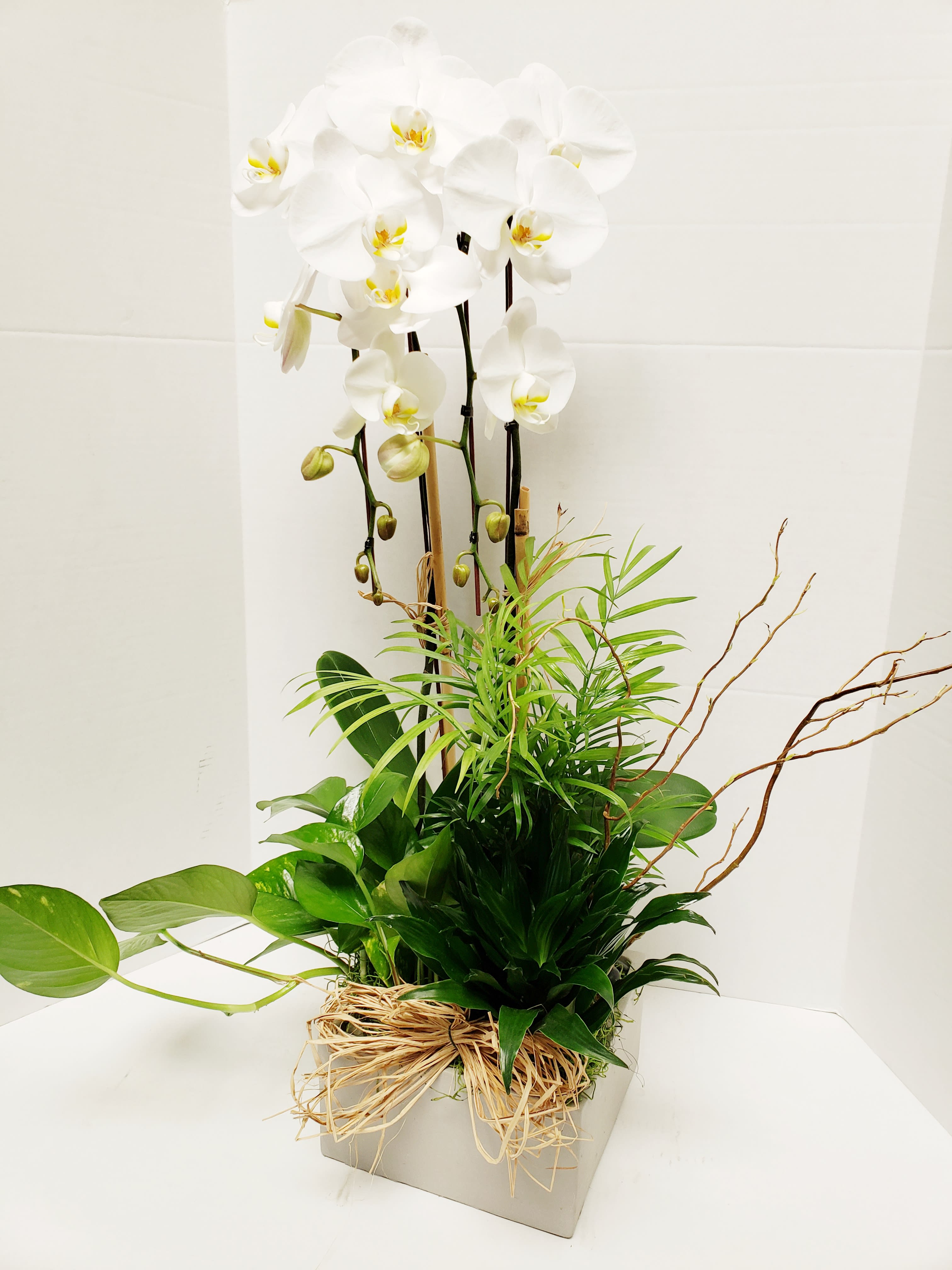 Orchid And Stone in La Habra, CA Louis Gardens Florist