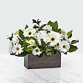 FTD Home Sweet Home Bouquet FTD Home Sweet Home Bouquet - Our Home Sweet Home Bouquet includes white daisies; white gerbera daises; green kale; accented with assorted greenery!!