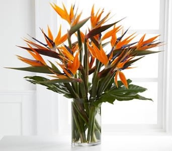 Birds Of Paradise Arrangement in Brooklyn, NY | Flowers By Emil