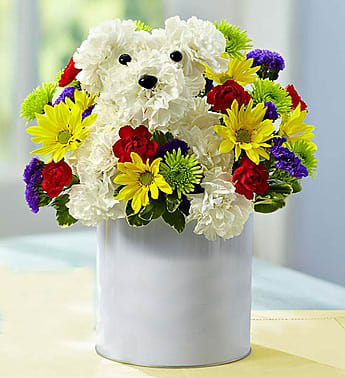 Unleash smiles with a DOG arrangement - Crafted with colorful carnations, poms, statice and more,