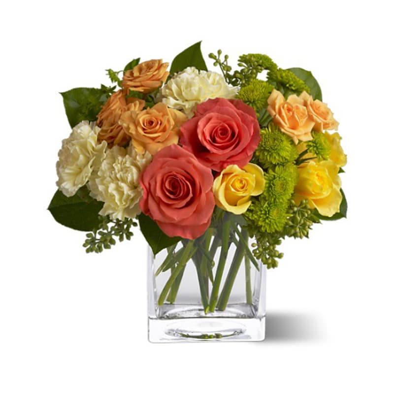 Citrus Splash in Irvine, CA Irvine Village Flowers