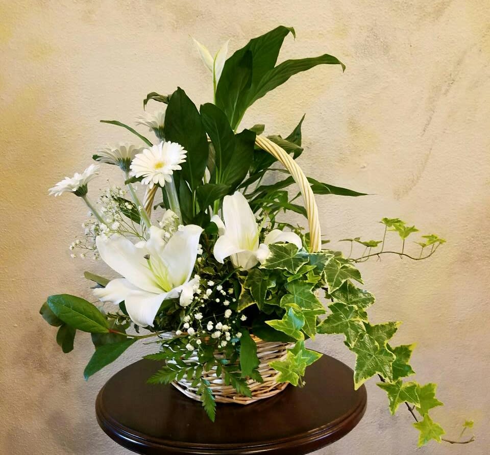 Plant And Fresh Floral Duo By Cambridge Floral
