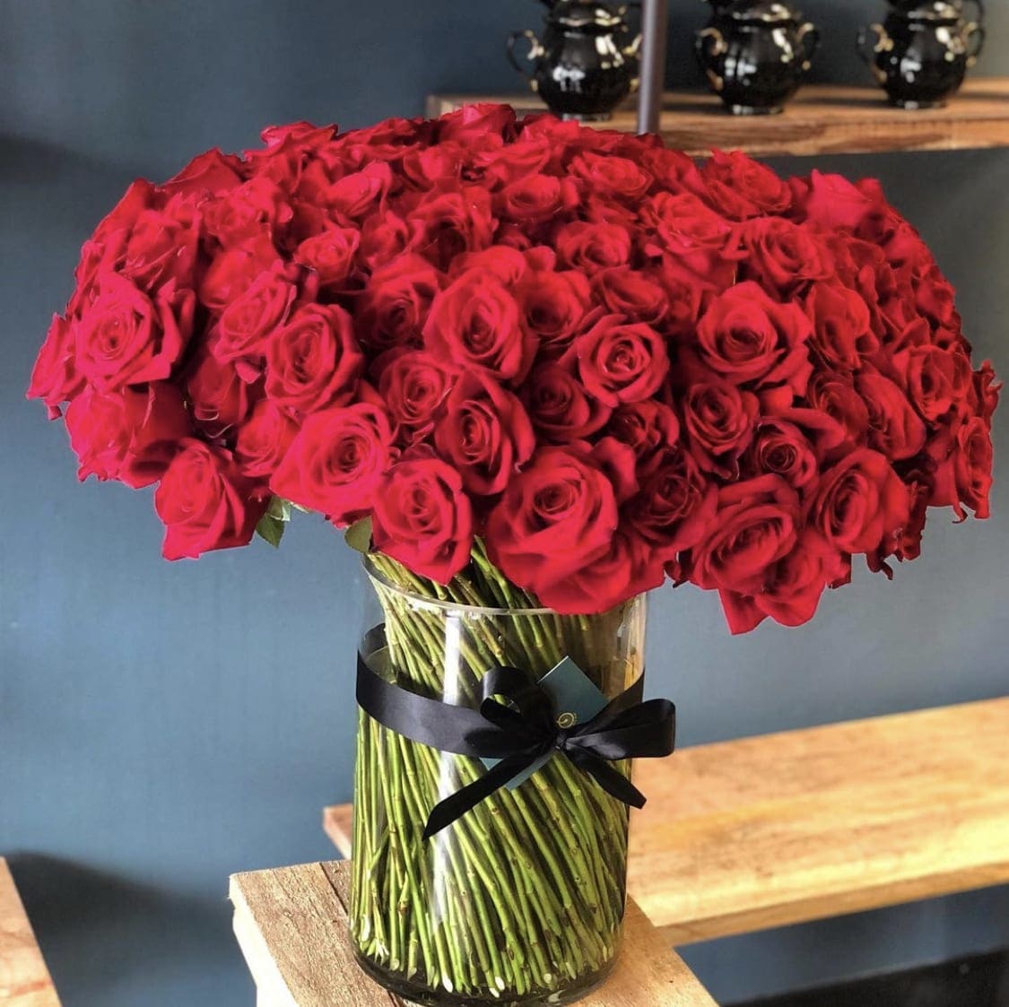 All Or Nothing In Brooklyn Ny Primrose