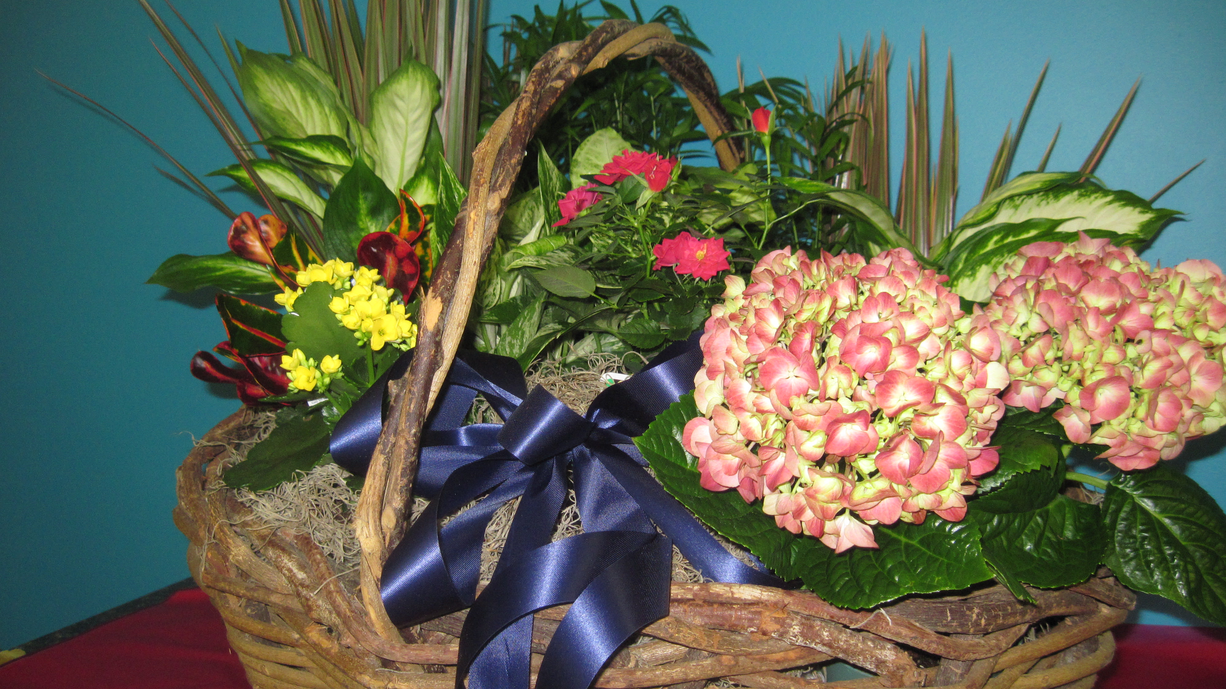 Blooming Basket in Troy, OH Your Personal Florist