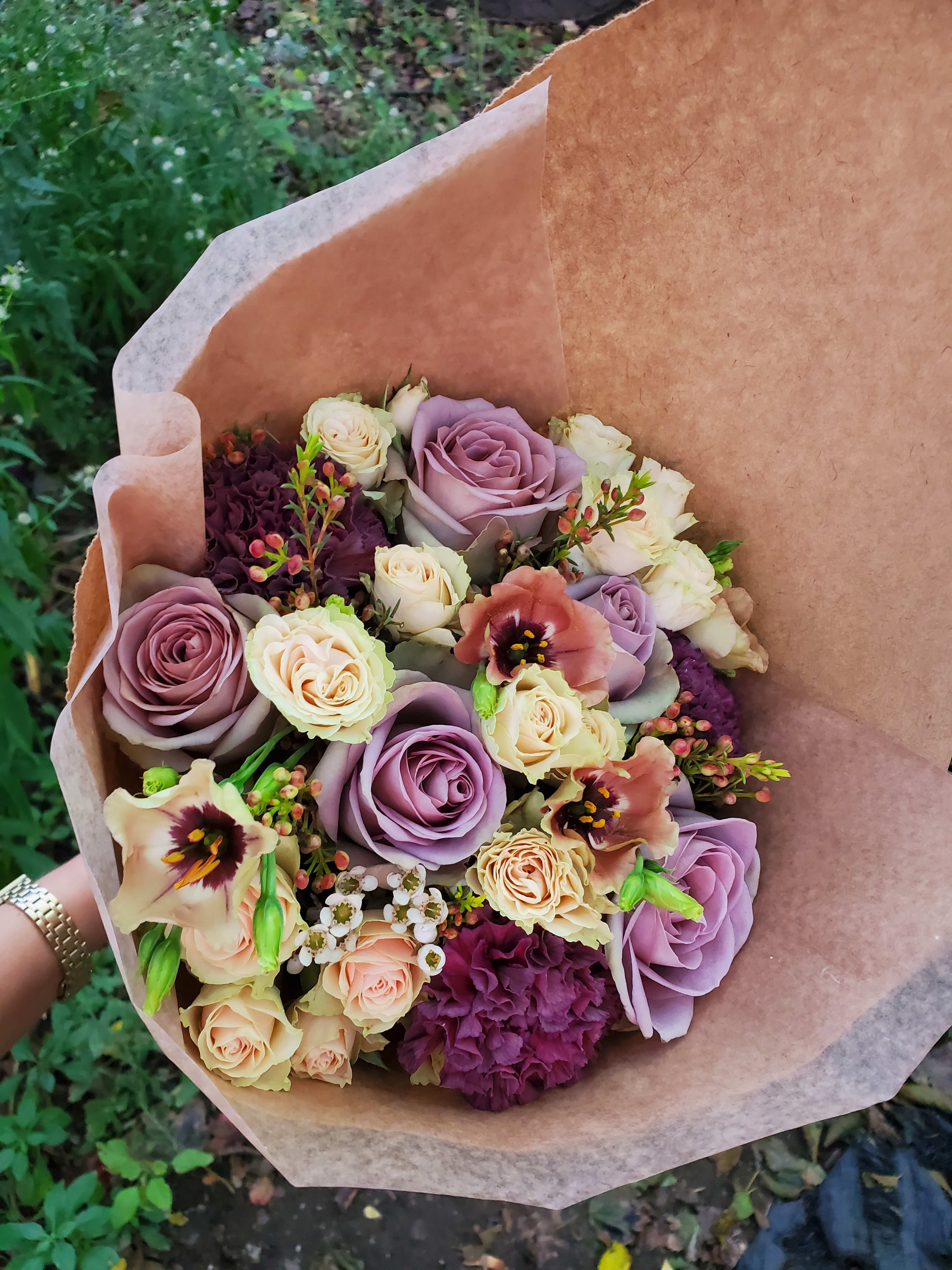 Dreamer In Brooklyn Ny Primrose