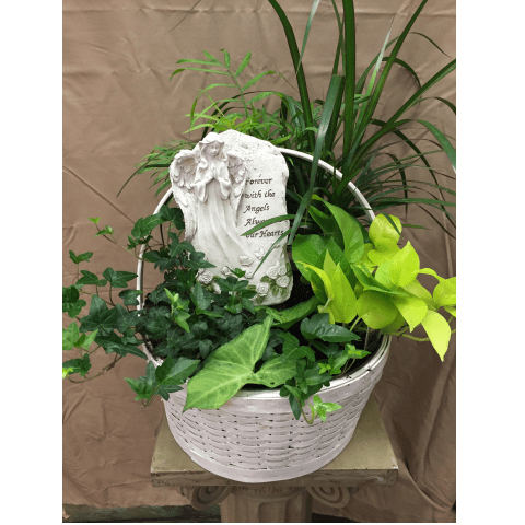  Forever With Angels Basket Garden  - Naturally lovely, this lovely plant garden is an inspired way to pay tribute at a wake, or to show family and friends your continuing support as time goes on. Includes a keepsake plaque, with reads &quot;Forever with the angels. Always in our Hearts.&quot;   SKU#: PF ForeverWithAngels
