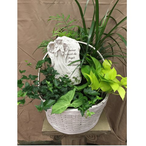 Forever With Angels Basket Garden Forever With Angels Basket Garden - Naturally lovely, this lovely plant garden is an inspired way to pay tribute at a wake, or to show family and friends your continuing support as time goes on. Includes a keepsake plaque, with reads "Forever with the angels. Always in our Hearts." SKU#: PF ForeverWithAngels