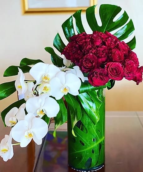 Prima By Happy Flowers Miami