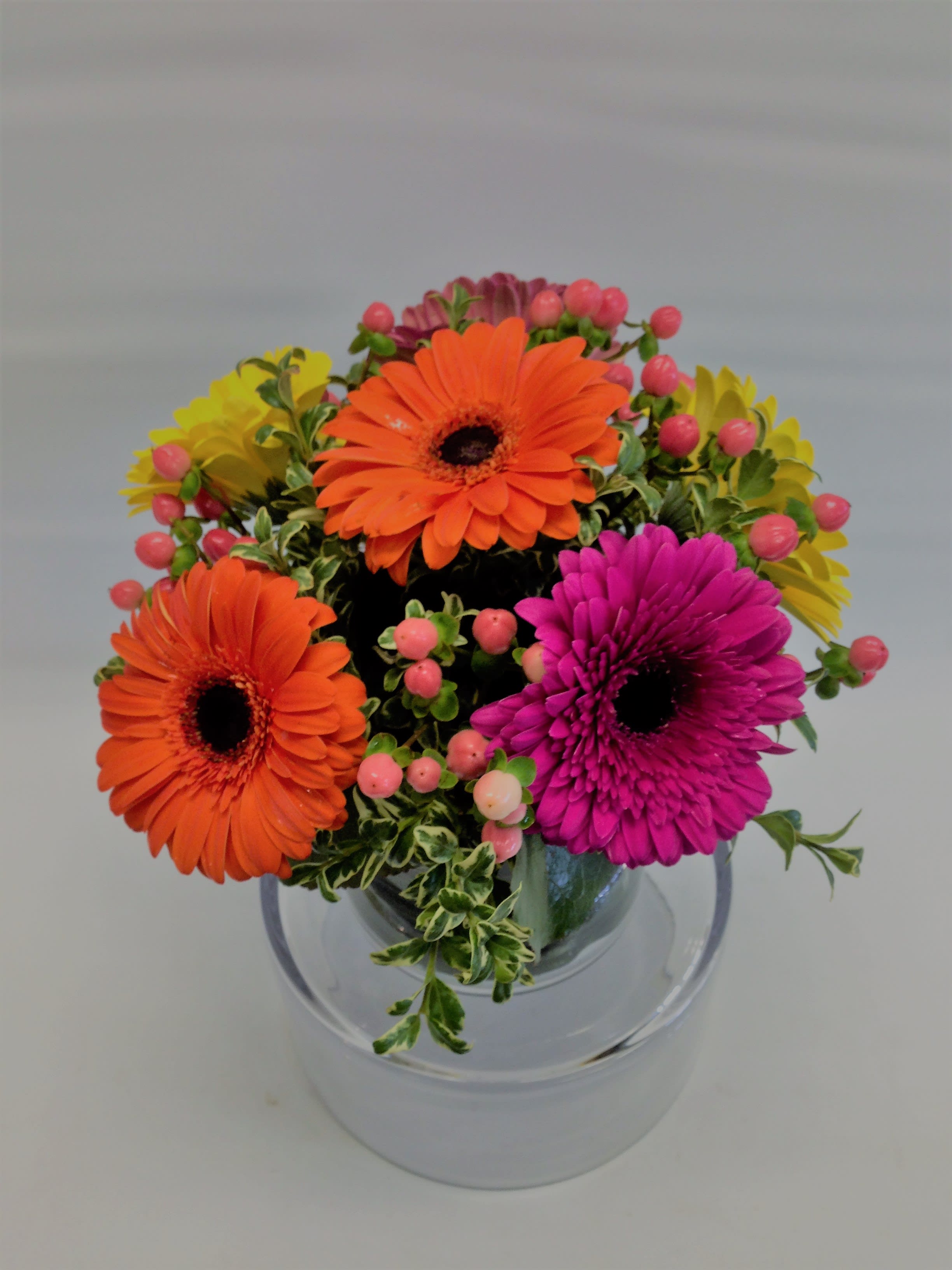 Gerbera Daisy Arrangement in IL Victor Hlavacek Florist and
