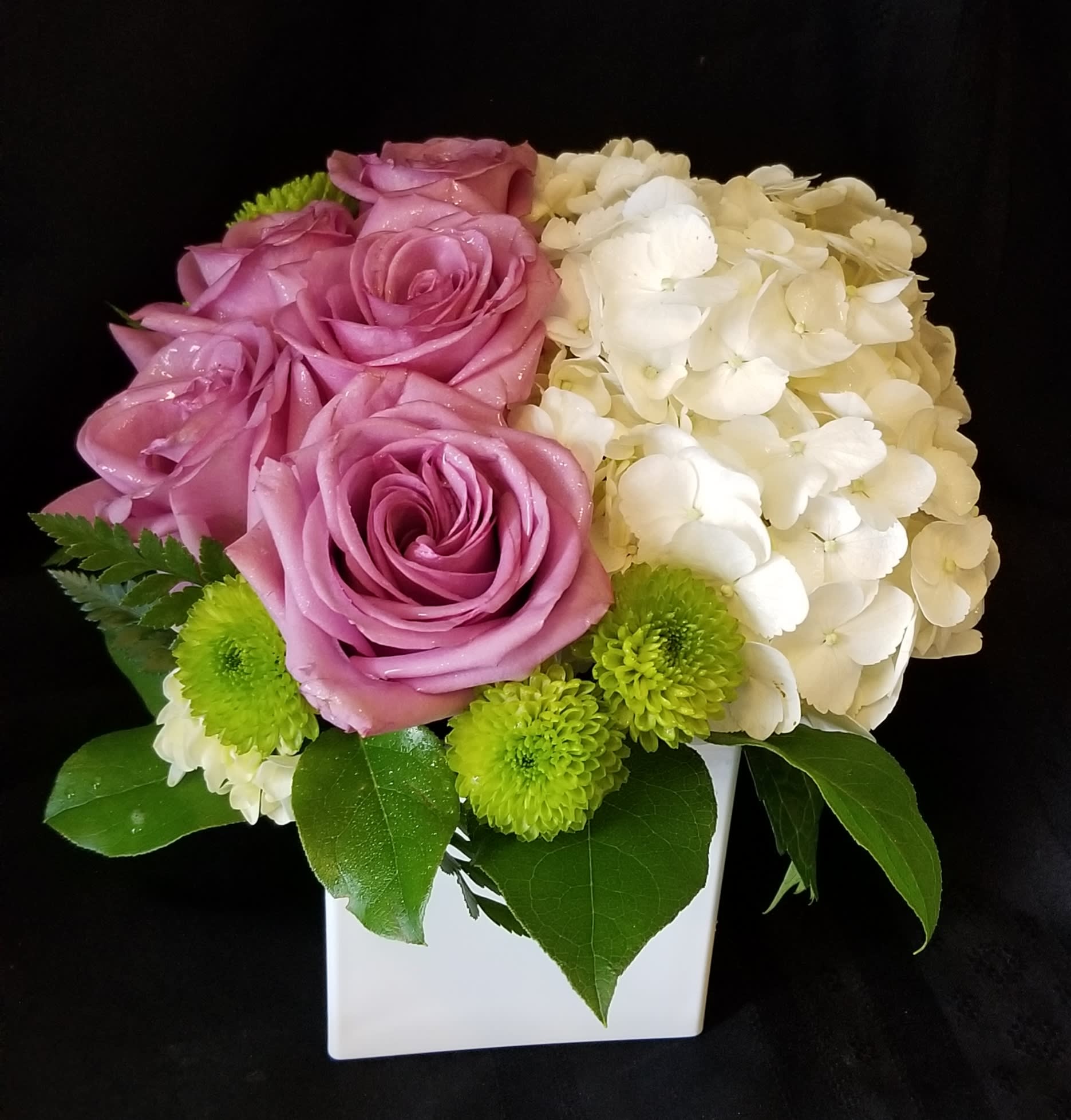 Passion Flowers Katy Tx Passion Flowers 19218 Lazy Valley Dr Katy Tx