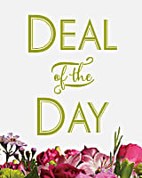 Deal of The Day - Baffled about what to send? Or perhaps you want to surprise them with a one-of-a-kind, artisanal arrangement? With our Deal of the Day bouquets, you pick your price and our expert designers exercise their creativity to design a beautiful bouquet using the freshest seasonal flowers available.  When you send a Deal of the Day bouquet, you can feel confident knowing an experienced designer will create an unforgettable flower arrangement with their own signature style and flair. Please note that flowers and designs will vary as our artisan designers work with the freshest, in-season flowers and their own personal inspiration - but you can be sure your bouquet will delight!