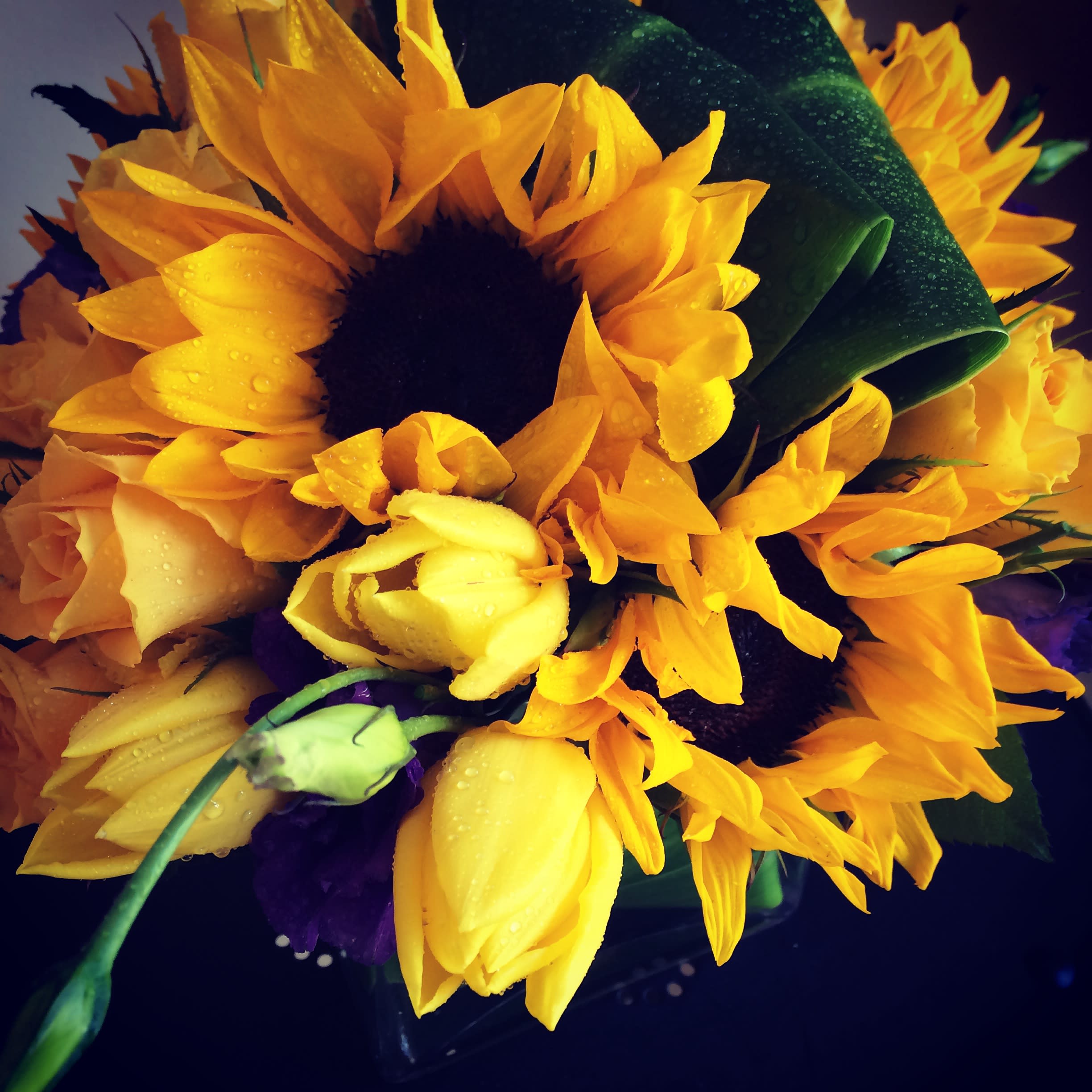 Sunflowers! in Palos Verdes Estates, CA Purely Floral