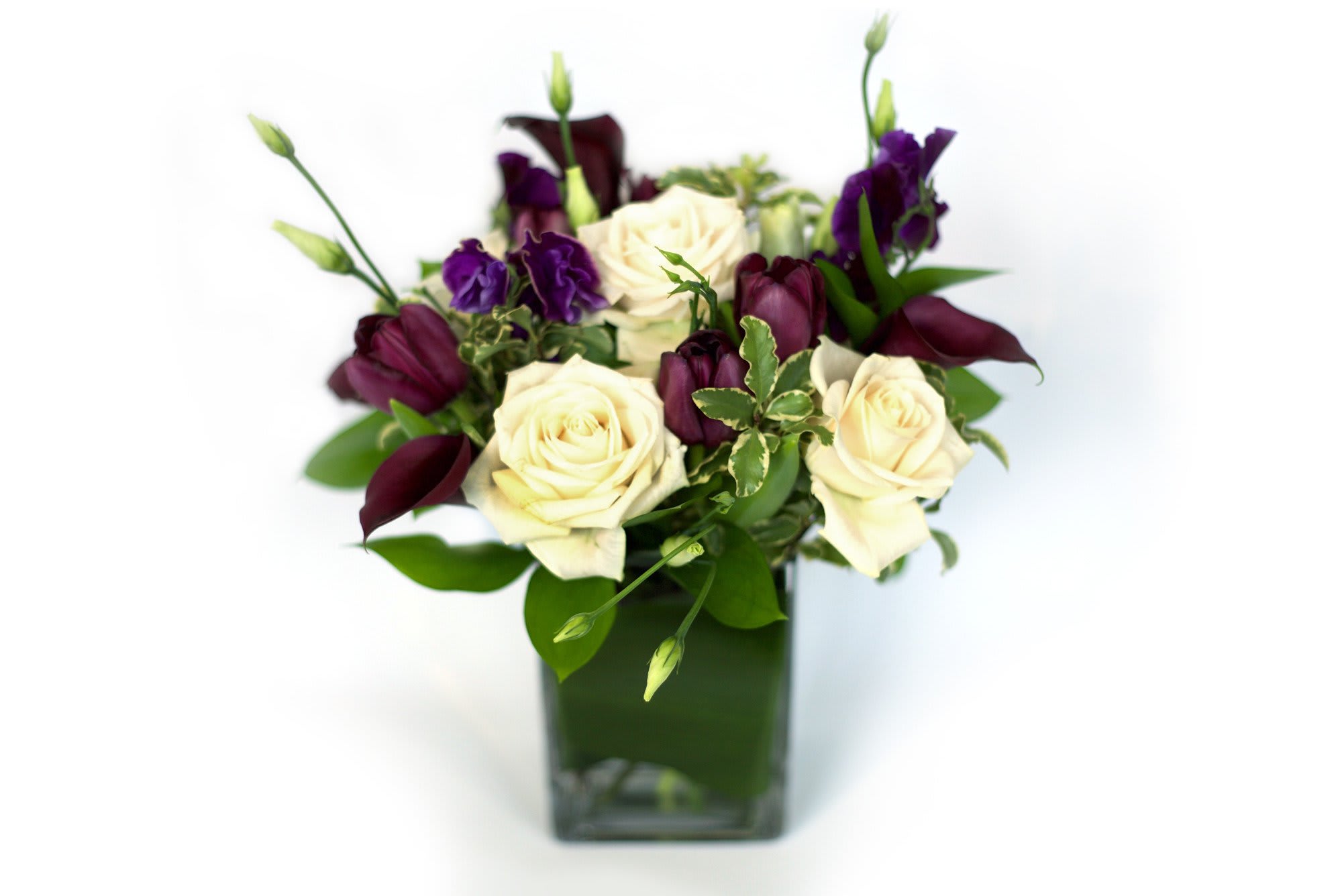 Black White In Brooklyn Ny Opalia Flowers