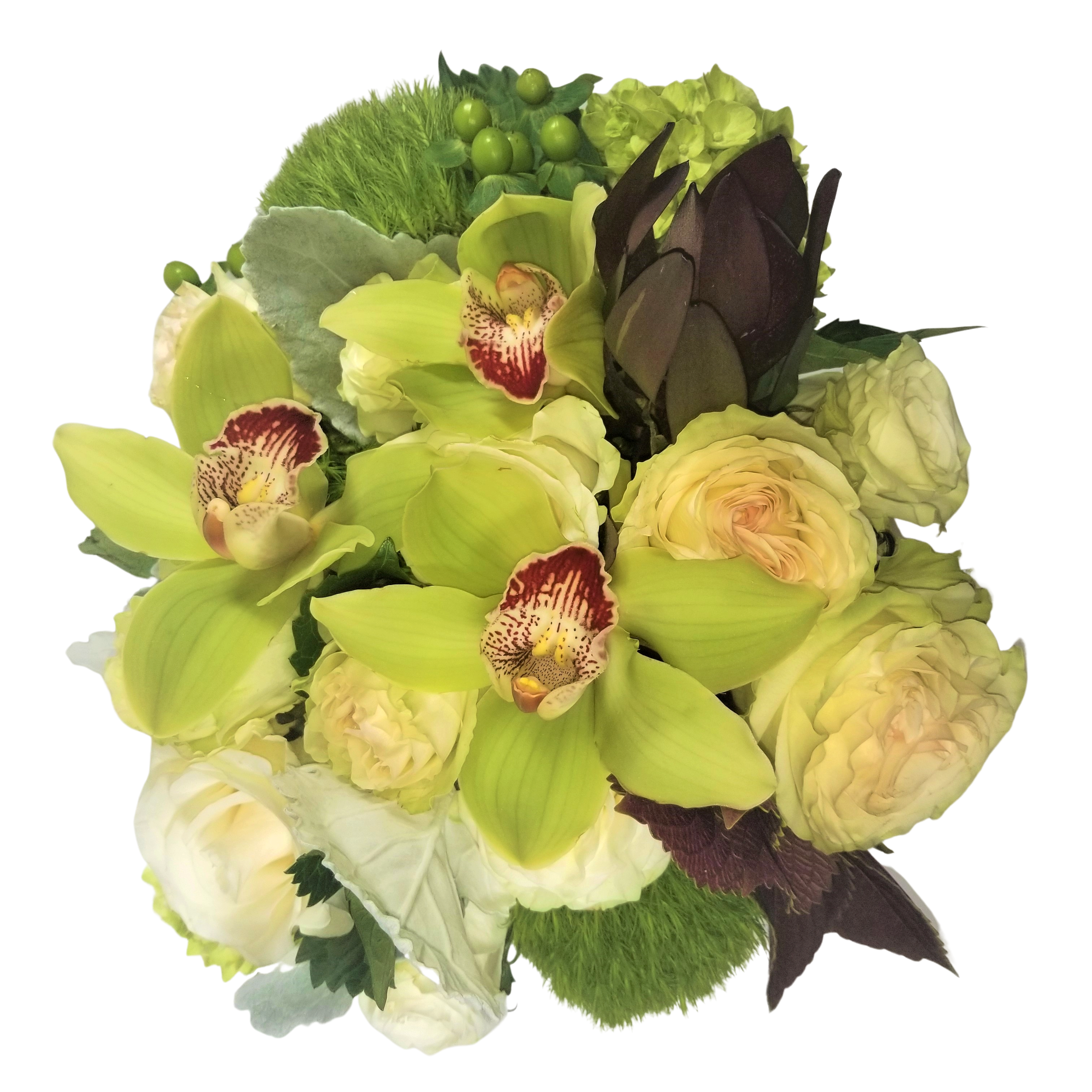 Green Cymbidiums, Hydrangea and Garden roses Green Cymbidiums, Hydrangea and Garden roses - Green Cymbidiums, Hydrangea and Garden roses are a match made in heaven . All long lasting, make great visual and classy impression.