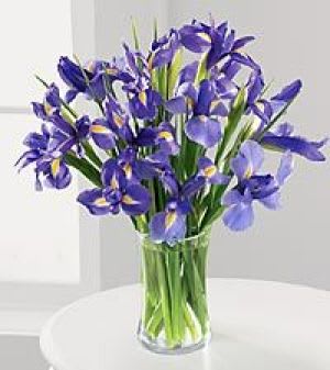 Eye Catching Iris Bouquet in San Jose CA Valley Florist