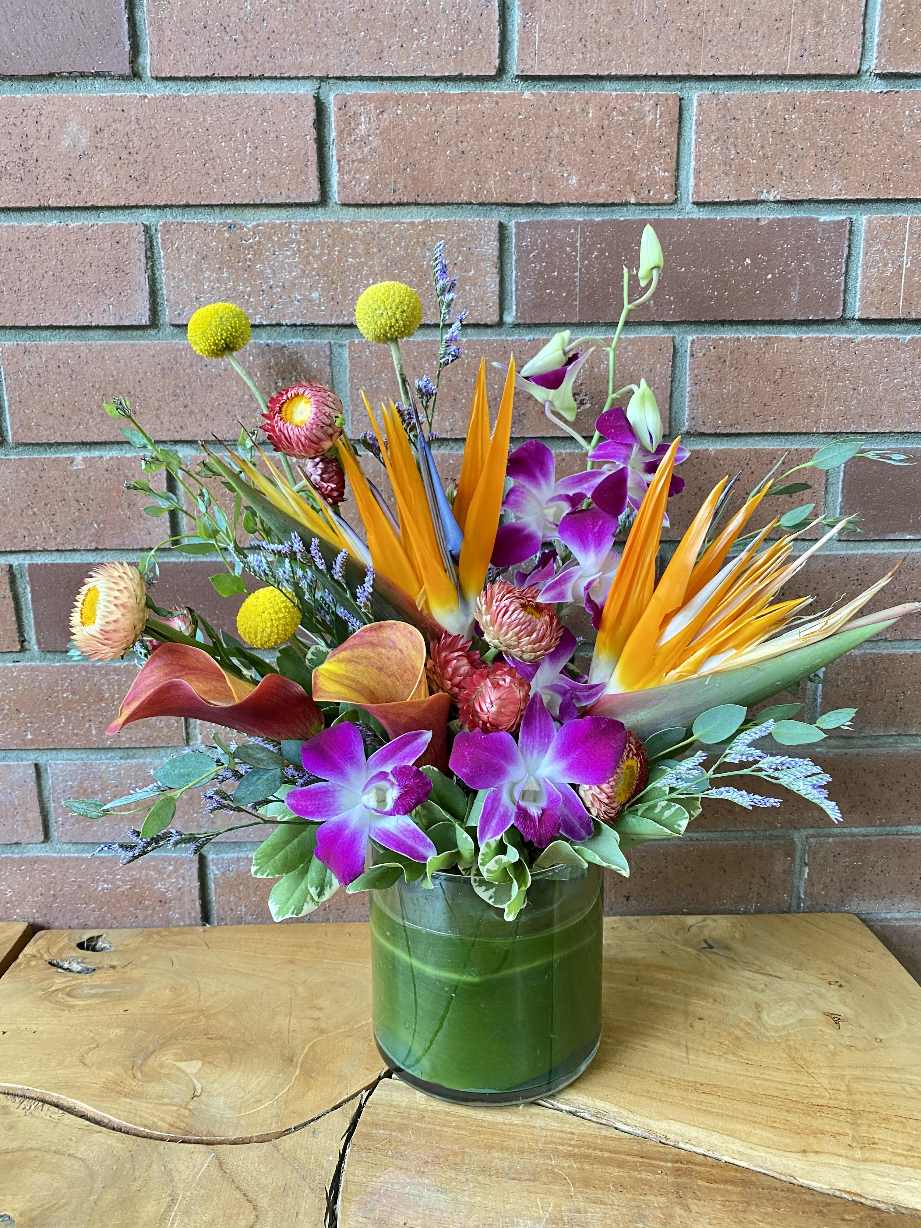 Tropical Splash In Venice Fl Venetian Flowers