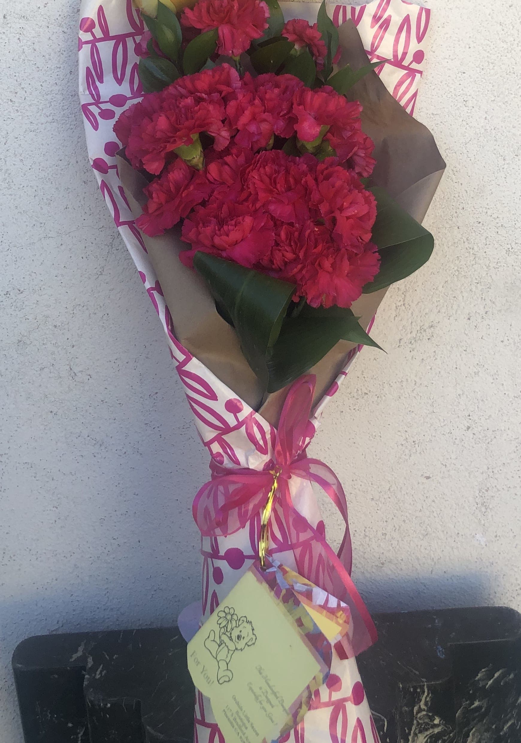 Unlock The Secret:  Drying Carnations Like A Pro! - 9ddrsd7