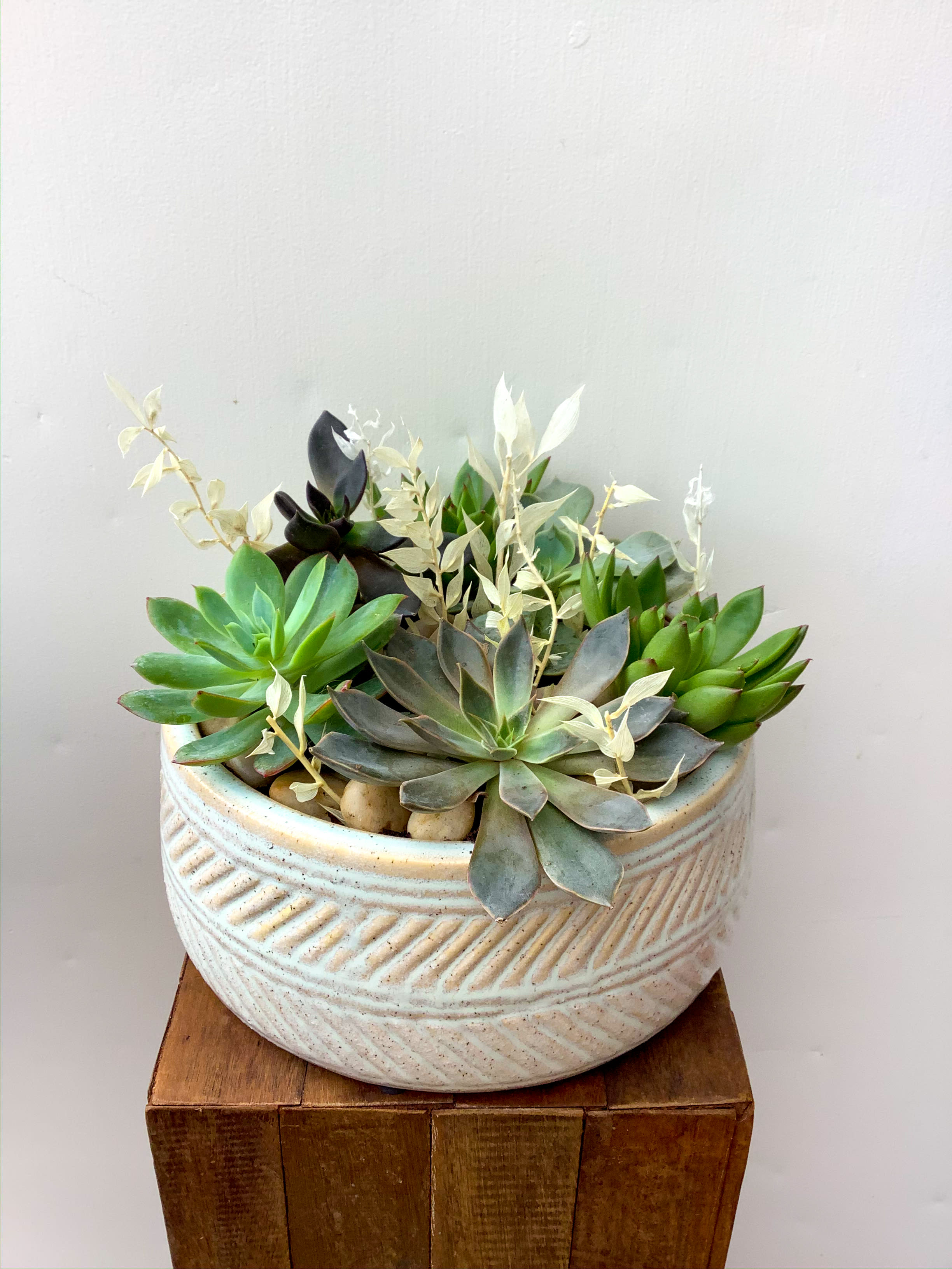 Succulent Dish Garden - Order this succulent dish garden to brighten up a coworker’s or friend’s day!