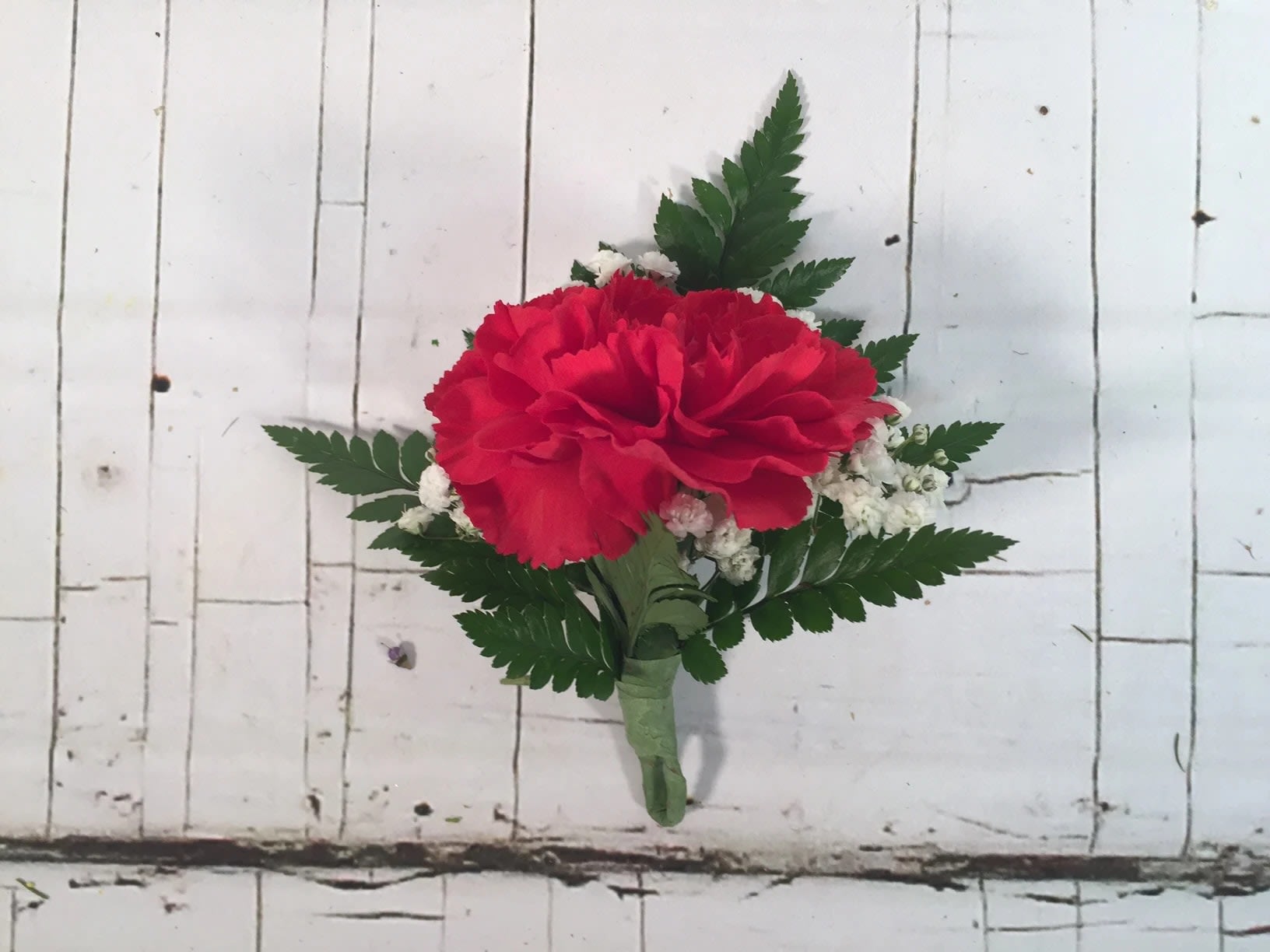 Single Carnation Boutonniere in St Louis, MO Irene's Floral Design