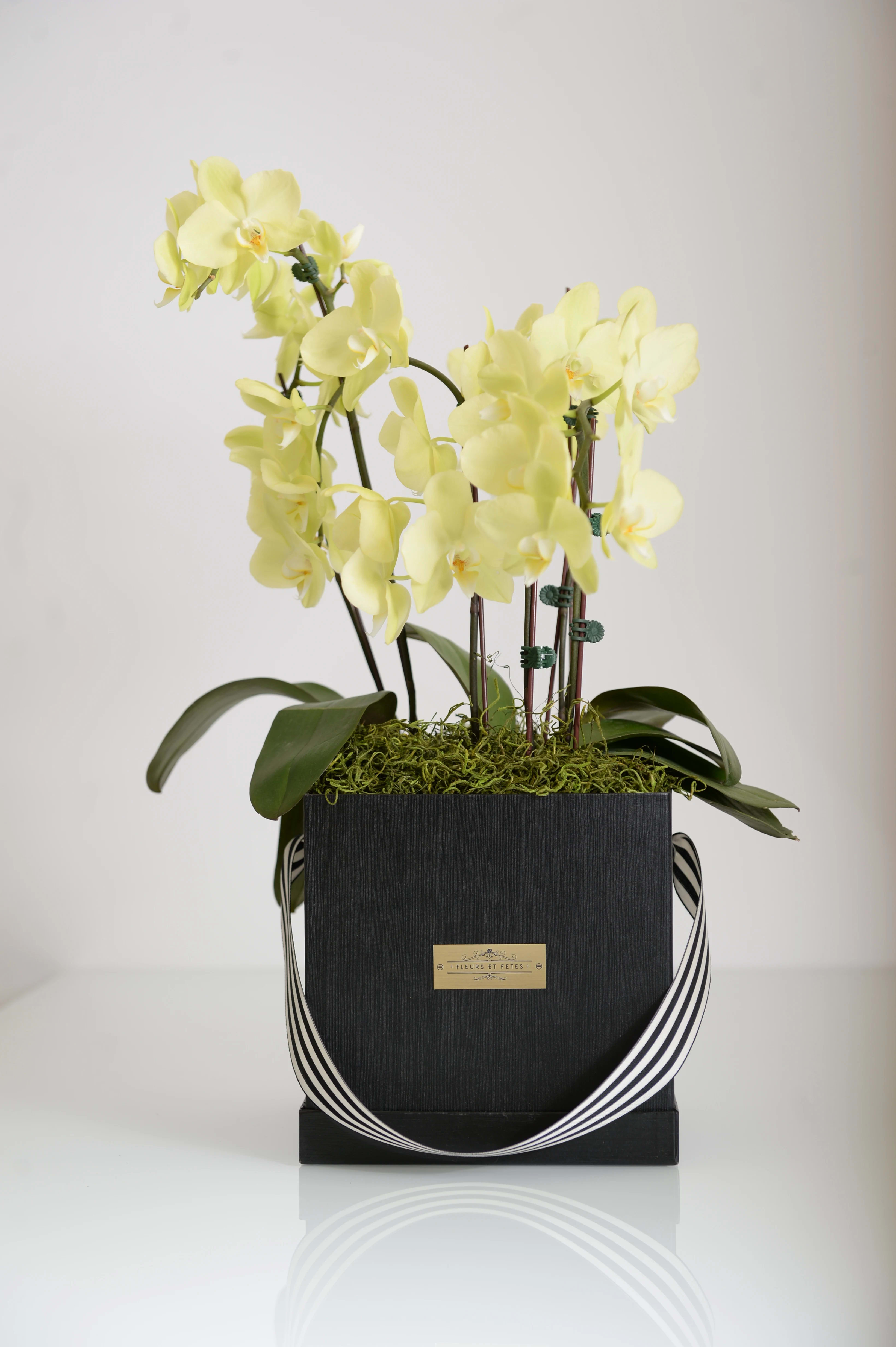 Forever Yours - Featuring fresh flowers. Green orchids are associated with nature, longevity, good health, good fortune, and blessings. You might find green orchids in homes or offices to bring “good fortune” in both life and business. Designed in our signature box. 
