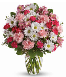 sweet tenderness - daisis carnatios and pink 