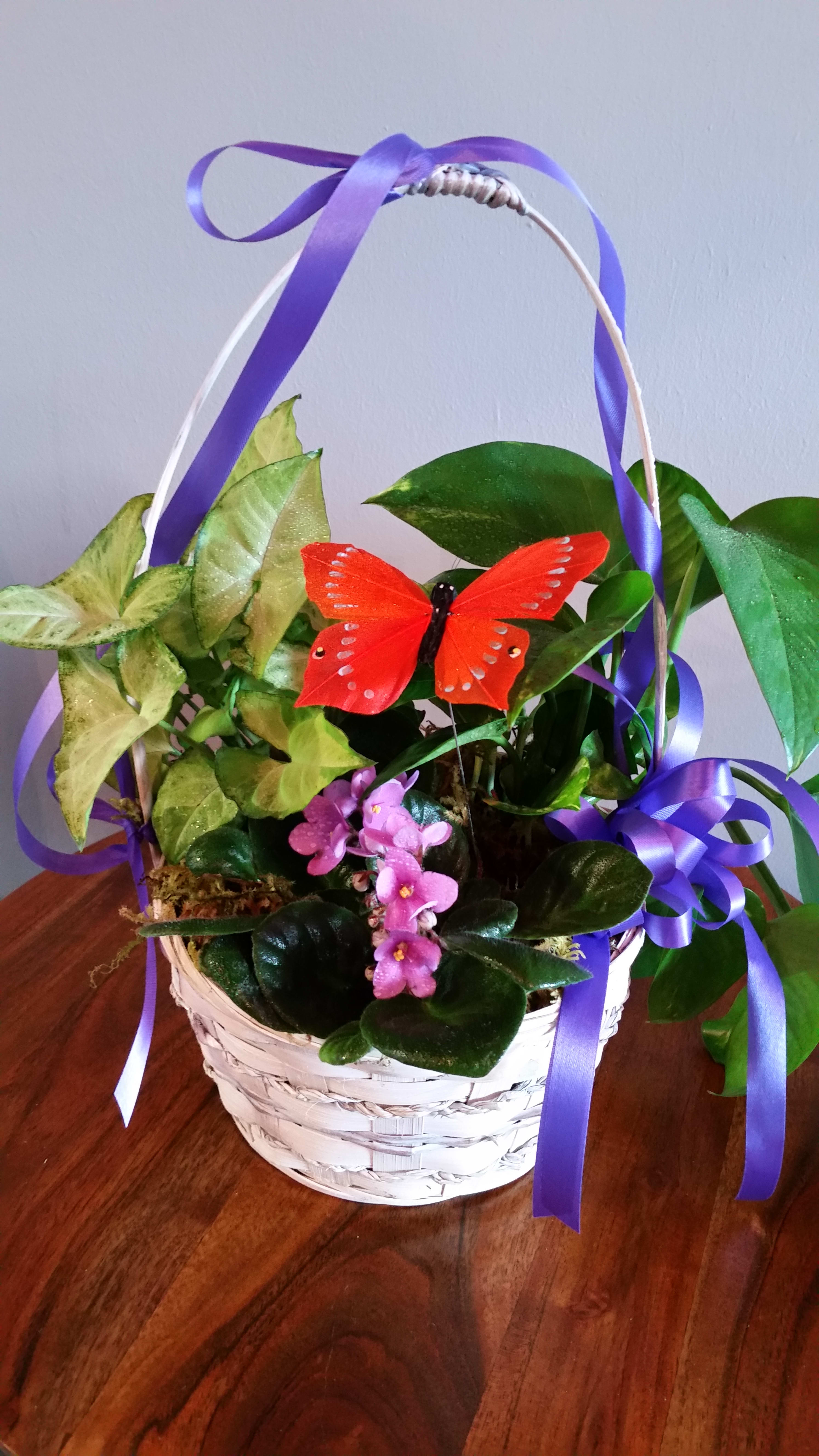 European Basket in Stevensville, MT Peacock Floral