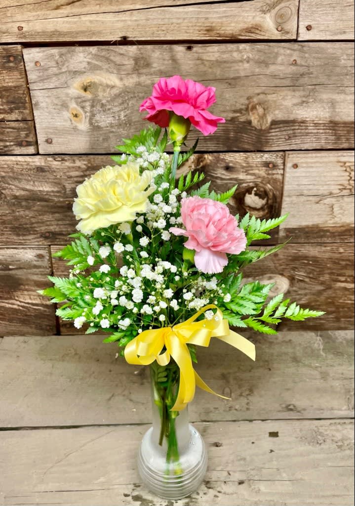 3 Carnations in a Vase in Staples, MN Williams Floral & Nursery