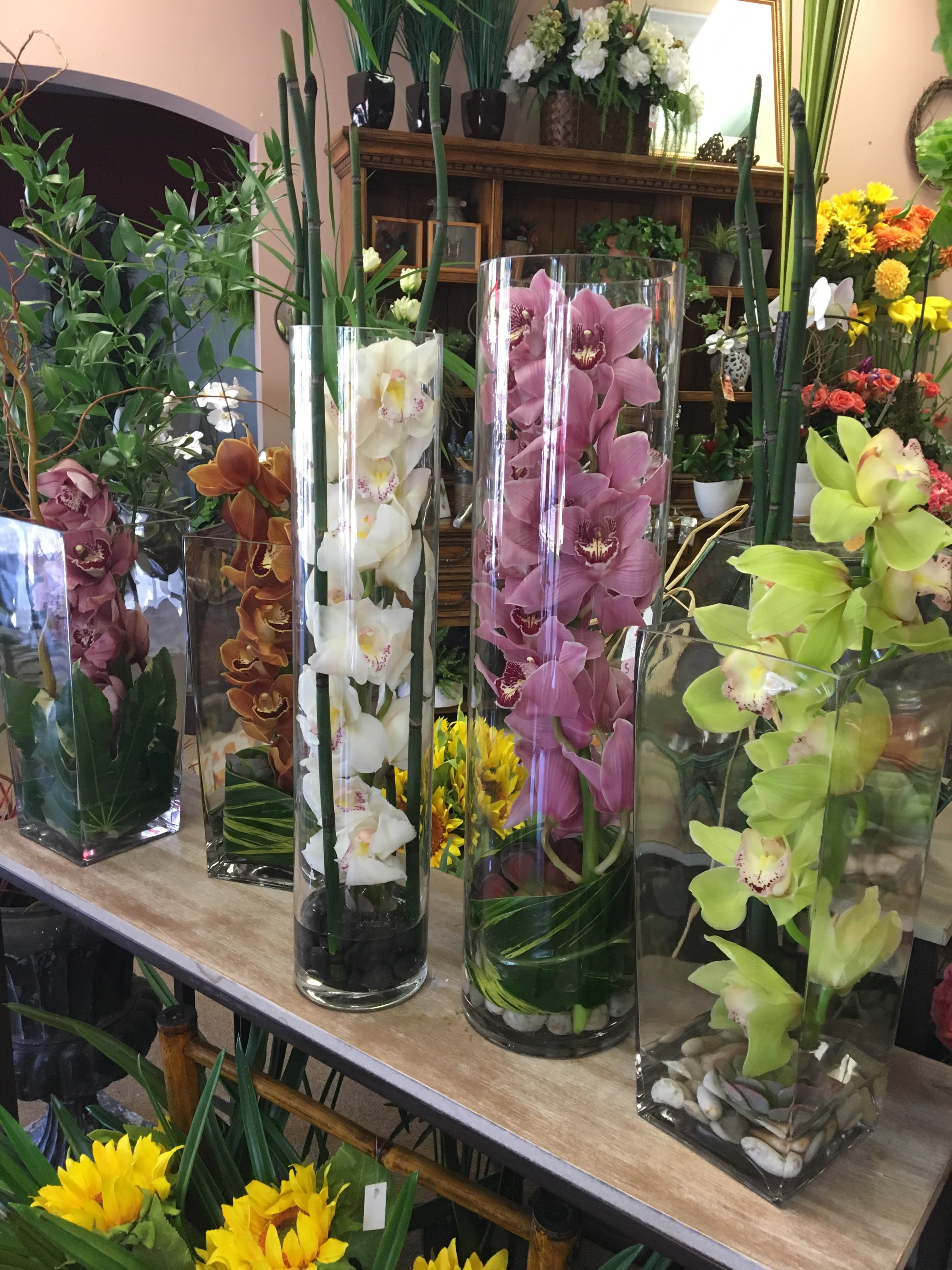 Cymbidium Class In La Jolla Ca La Jolla Florist