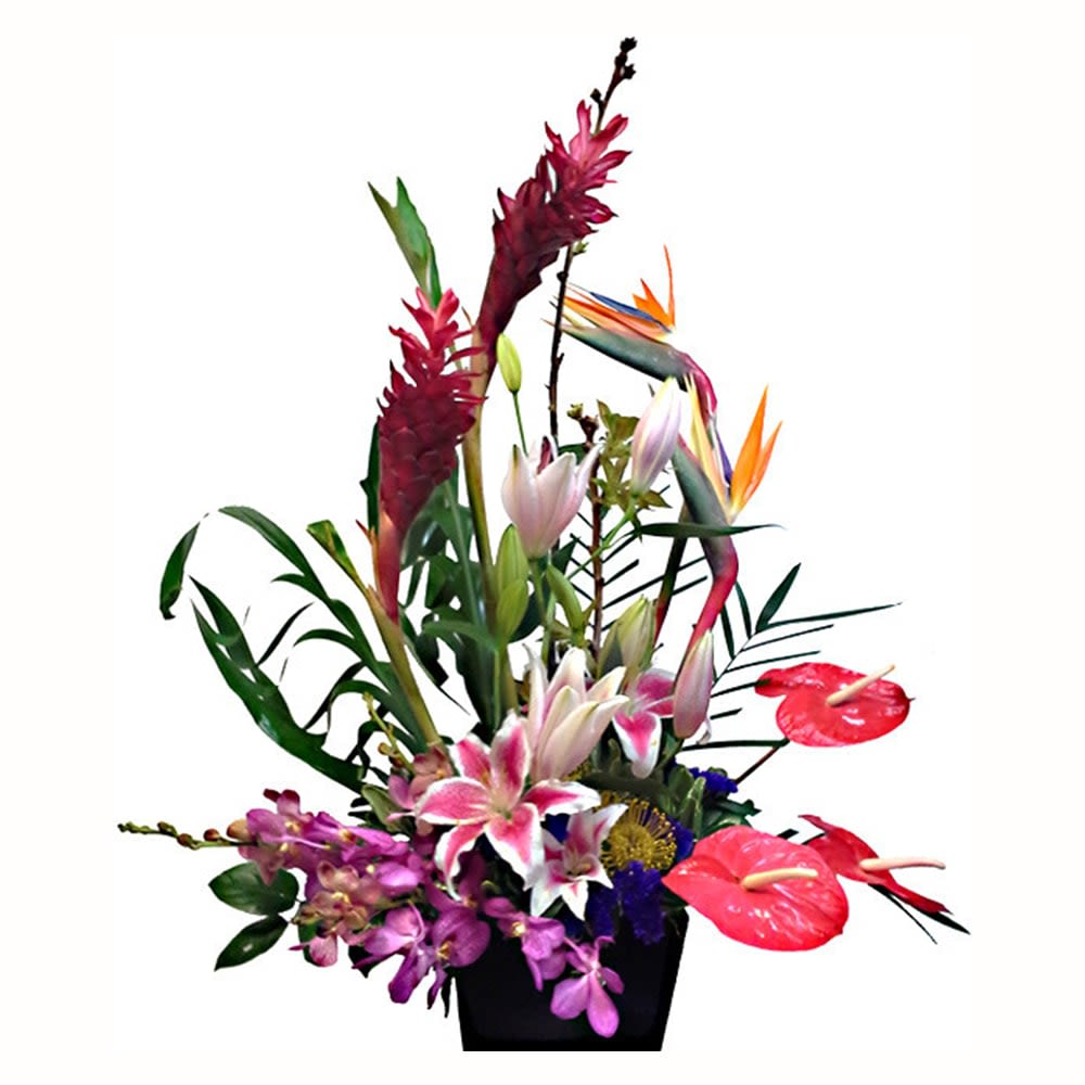 Tropical Wonders In Denver Co Flowers By Coley Denver