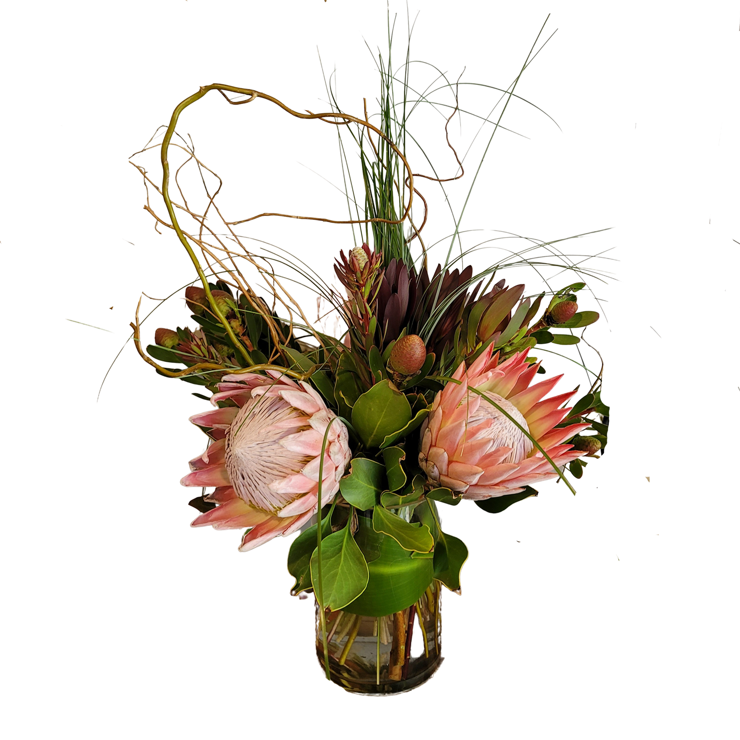 King Protea Arrangement, Subject to availability King Protea Arrangement, Subject to availability - King Protea, as impressive as its name. Not always available , to ensure please call us.