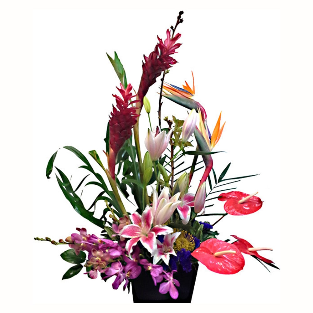 San Marcos Ca Flowers / Allen S Flowers Flower Delivery San Diego Ca