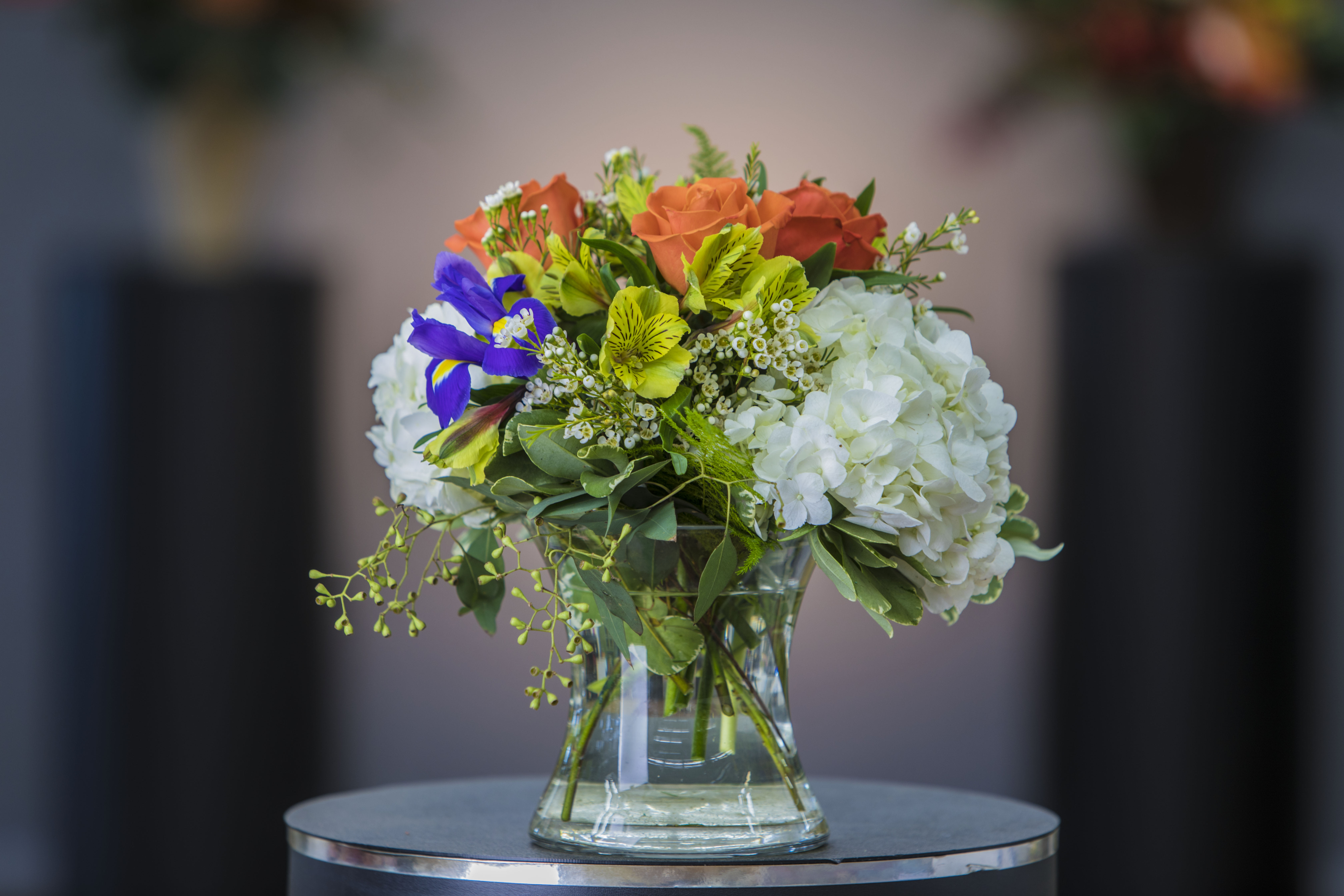 Spring Days In Anaheim Ca Visser S Florist Greenhouses