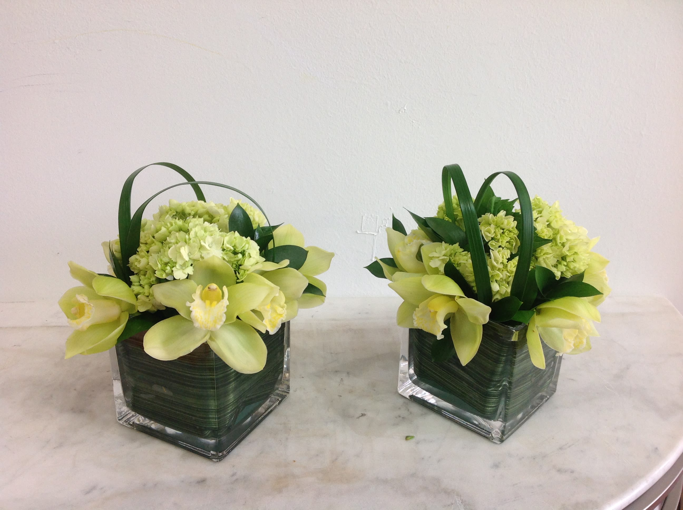 Everything's green! Everything's green! - ONE beautiful arrangement with green cymbidium and mini green hydrangea perfect for all kind of events.