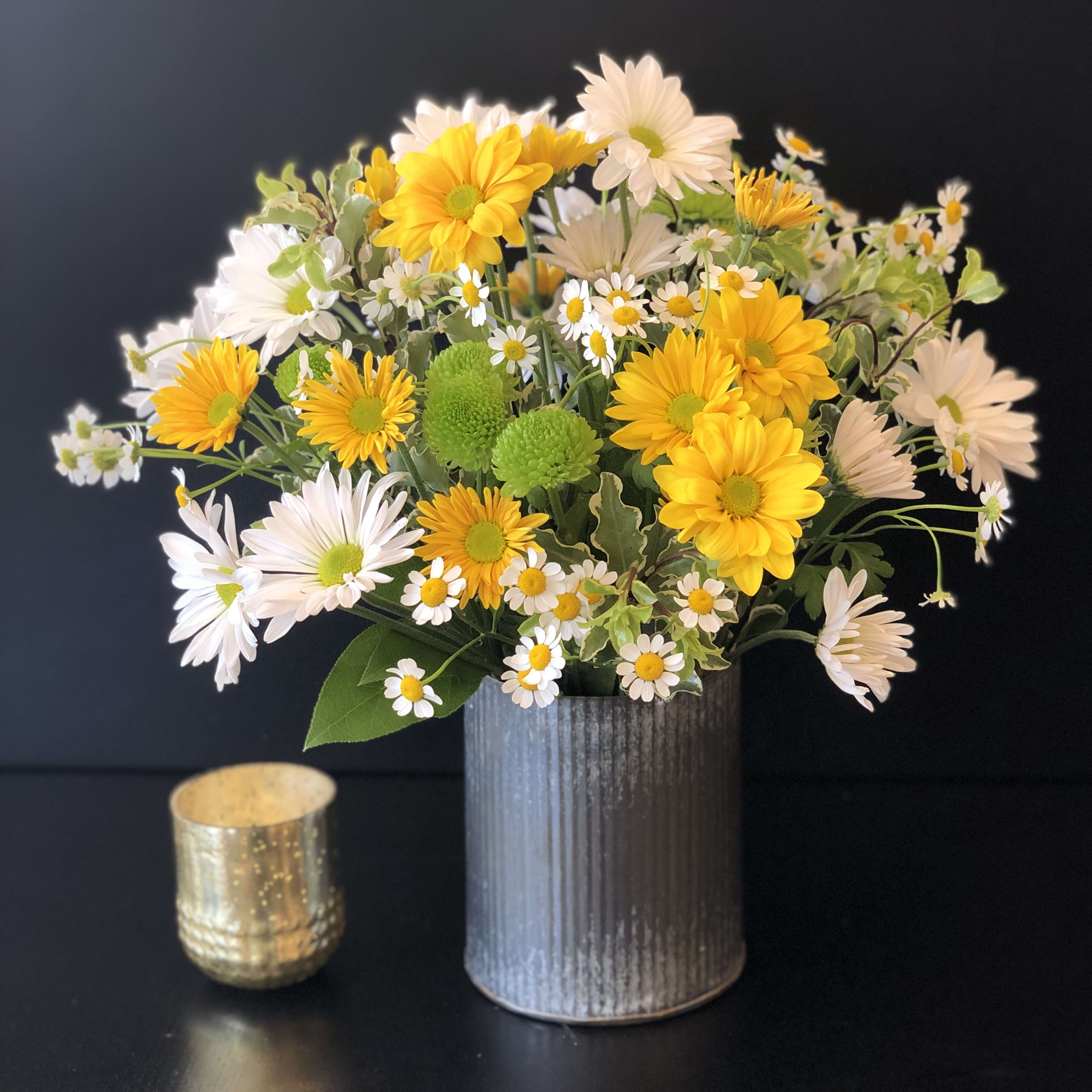 Daisy Daydream by Flowers by Coley SF