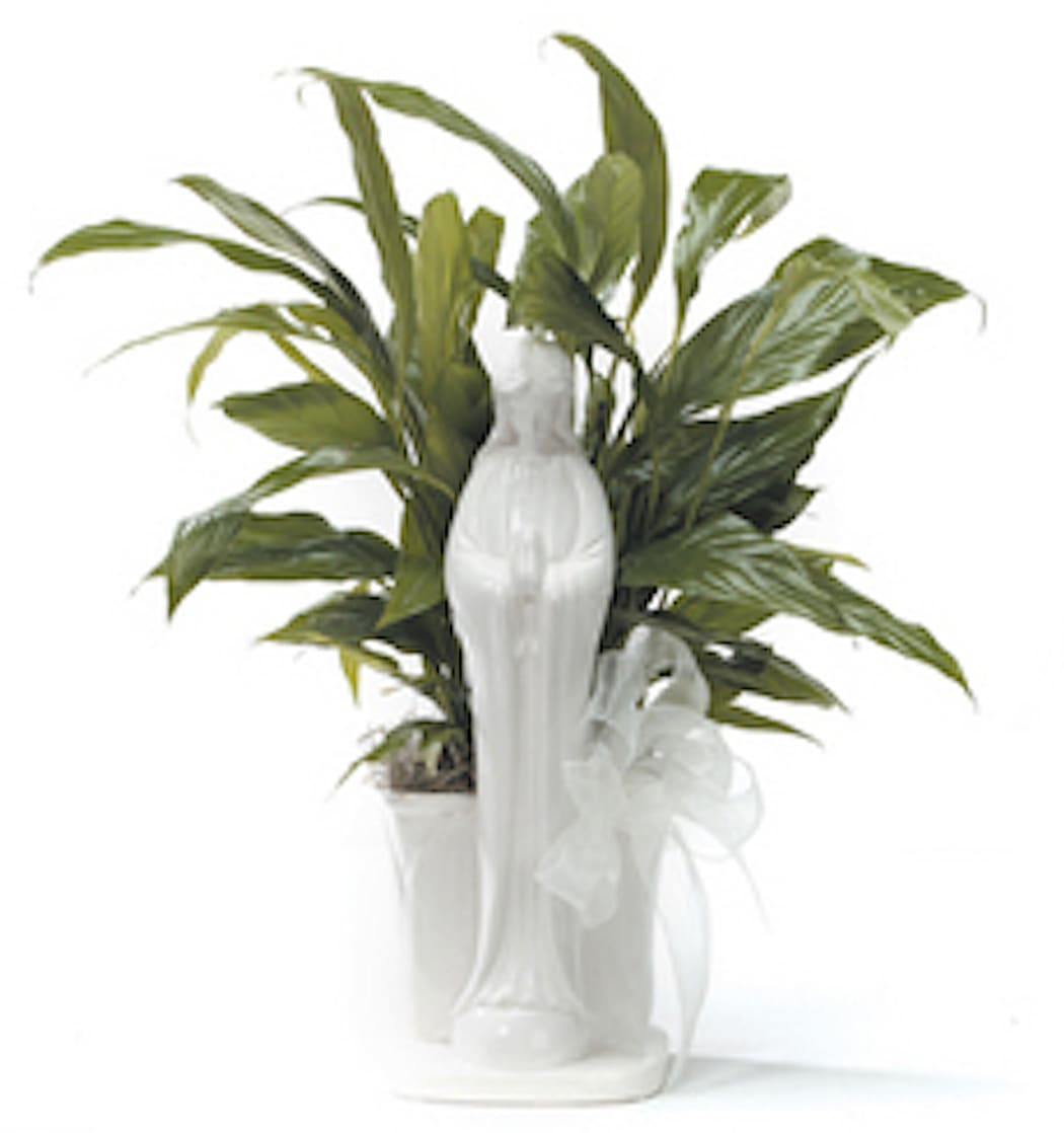 Marys Garden in St. Peters, MO Premier Sympathy Flowers STL