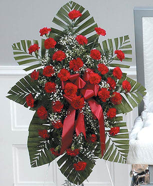 Sincere Sentiment - An elegant standing easel spray filled with red carnations and complimented with baby's breath. Timeless elegance for any service. Matching bow included. 