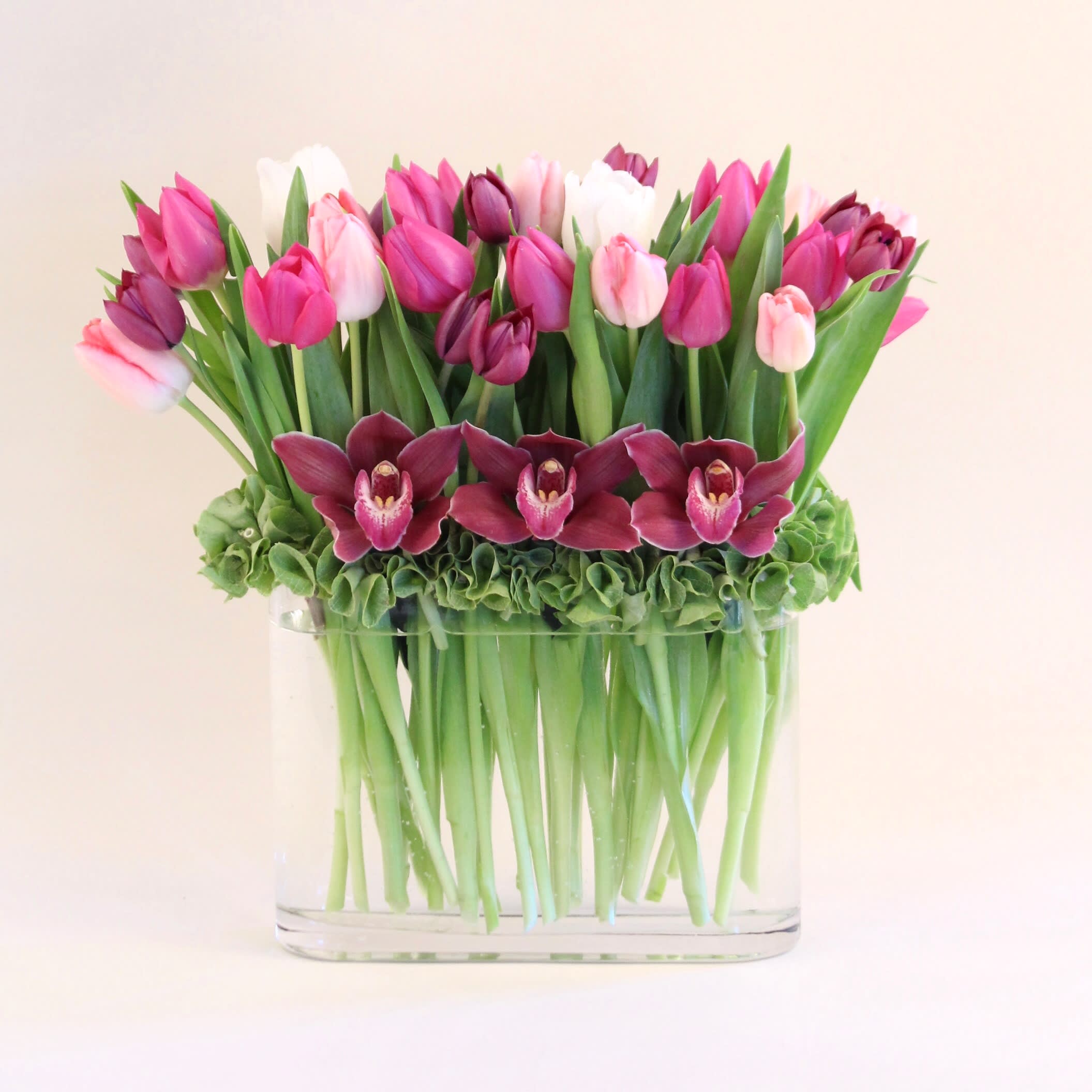 Lovely Tulips & Orchids in Arcadia, CA MDS Florist