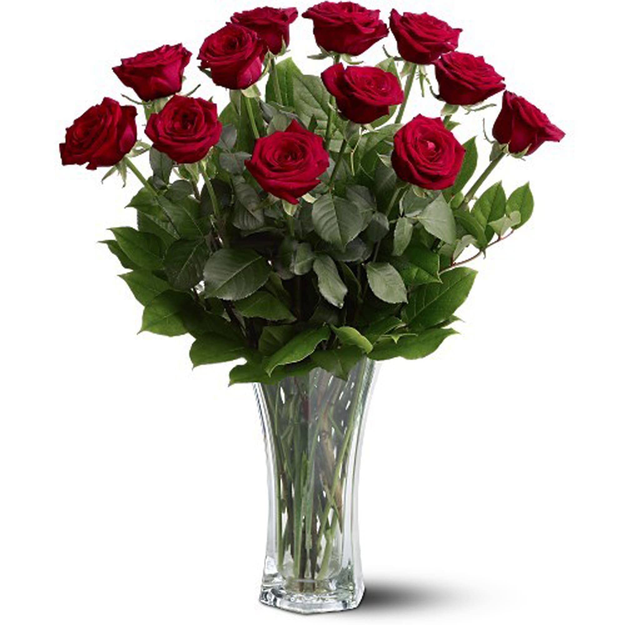 A Dozen Premium Red Roses - For classic romance, a dozen red roses is always the perfect choice.  One dozen long-stemmed red roses in a clear glass vase.  Approximately 20&quot; W x 24&quot; H  Orientation: All-Around  As Shown : TF31-1