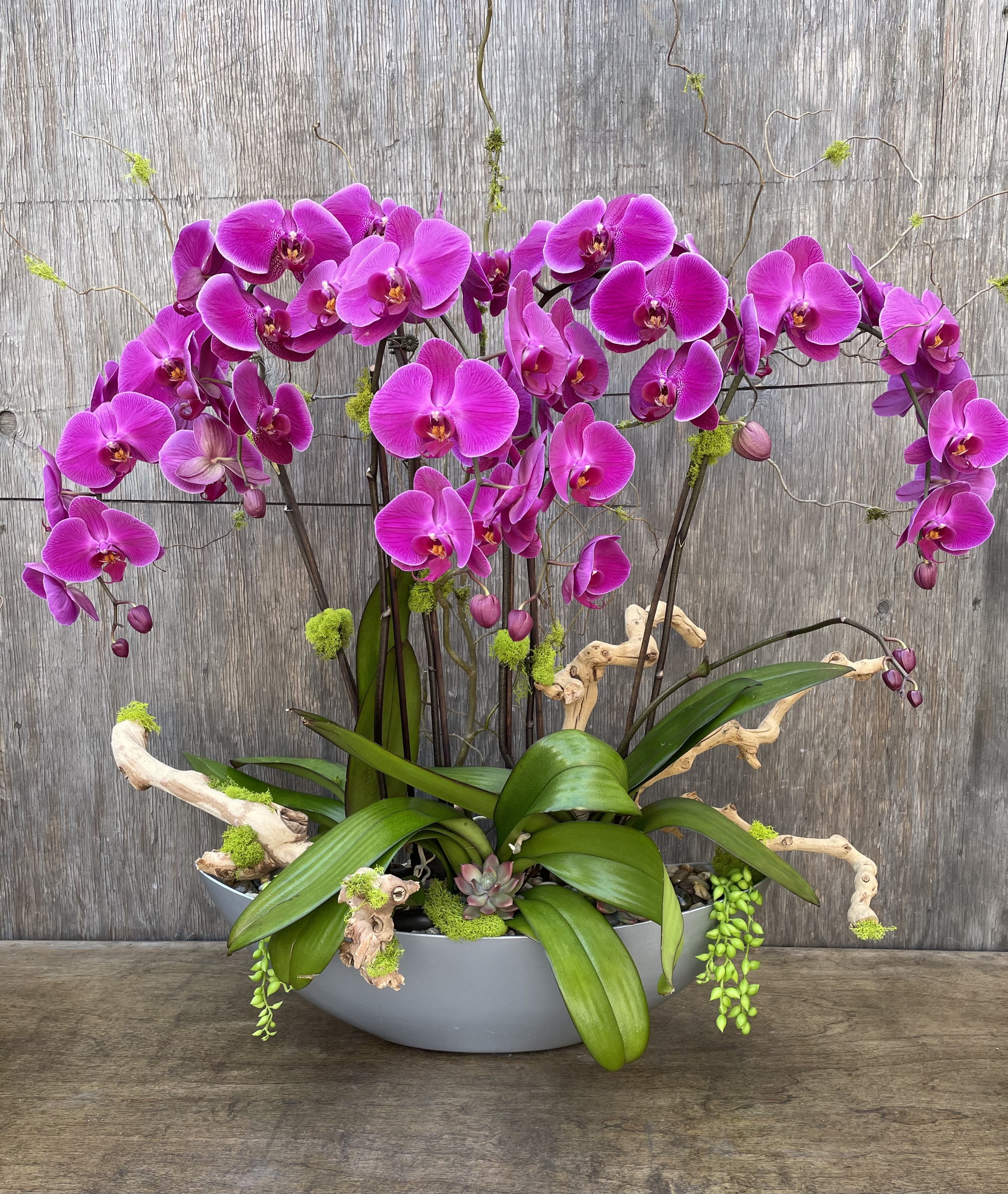 Purple Paradise  Purple Paradise  - A sincere and intense purple orchid fantasy with cascading phalaenopsis blooms and wooden moss accents in a contemporary silver modern boat container.