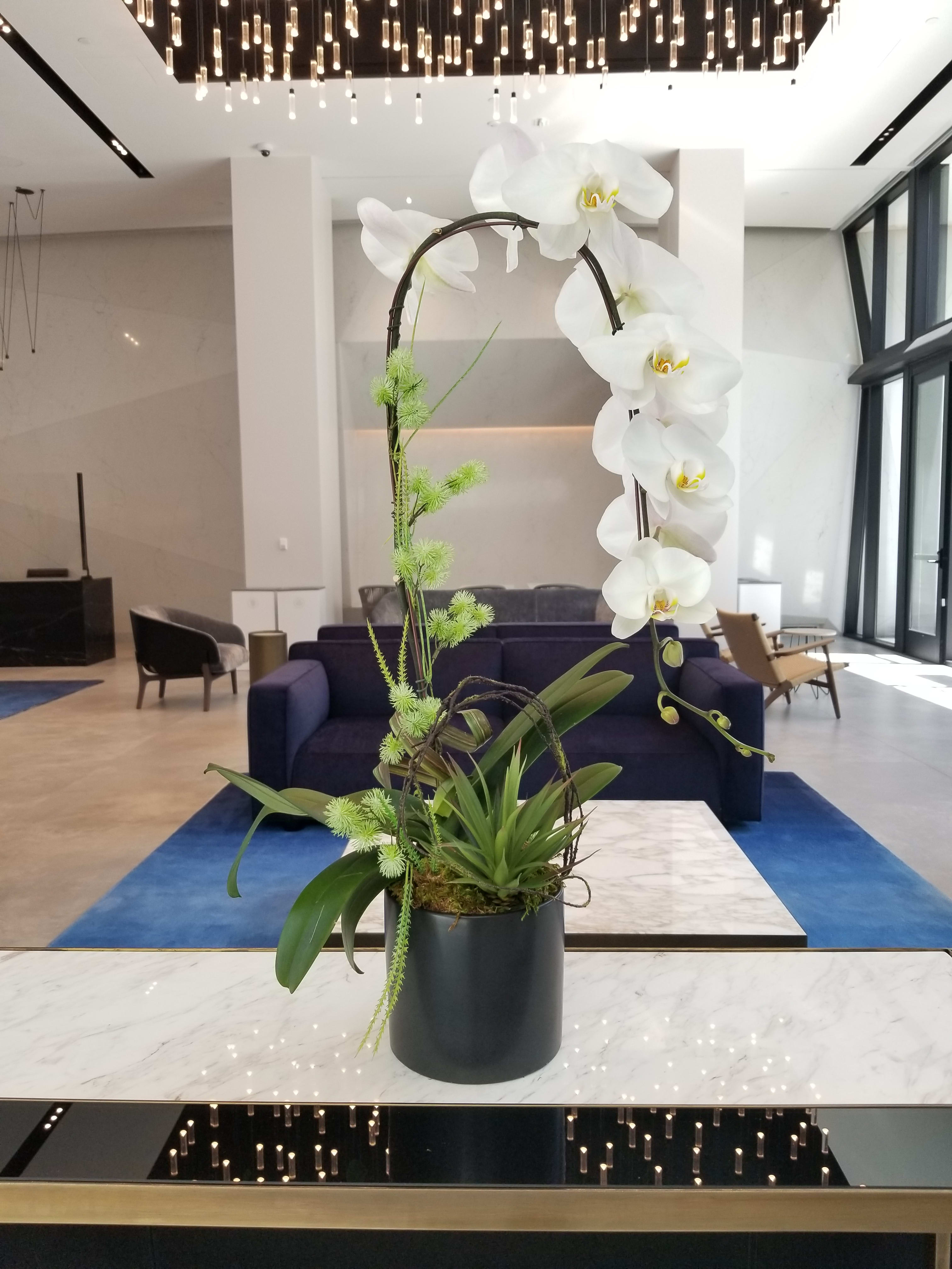 Grand Orchid - A stunning orchid arrangement.