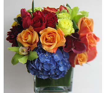 Jewel Treasure - This square vase arrangement is appropriate for someone who loves strong deep colors. The arrangement is composed of orange, red and green roses, red mini calalilies, red tulips, blue hydrangeas, burgundy dahlias and green cymbidium blooms.