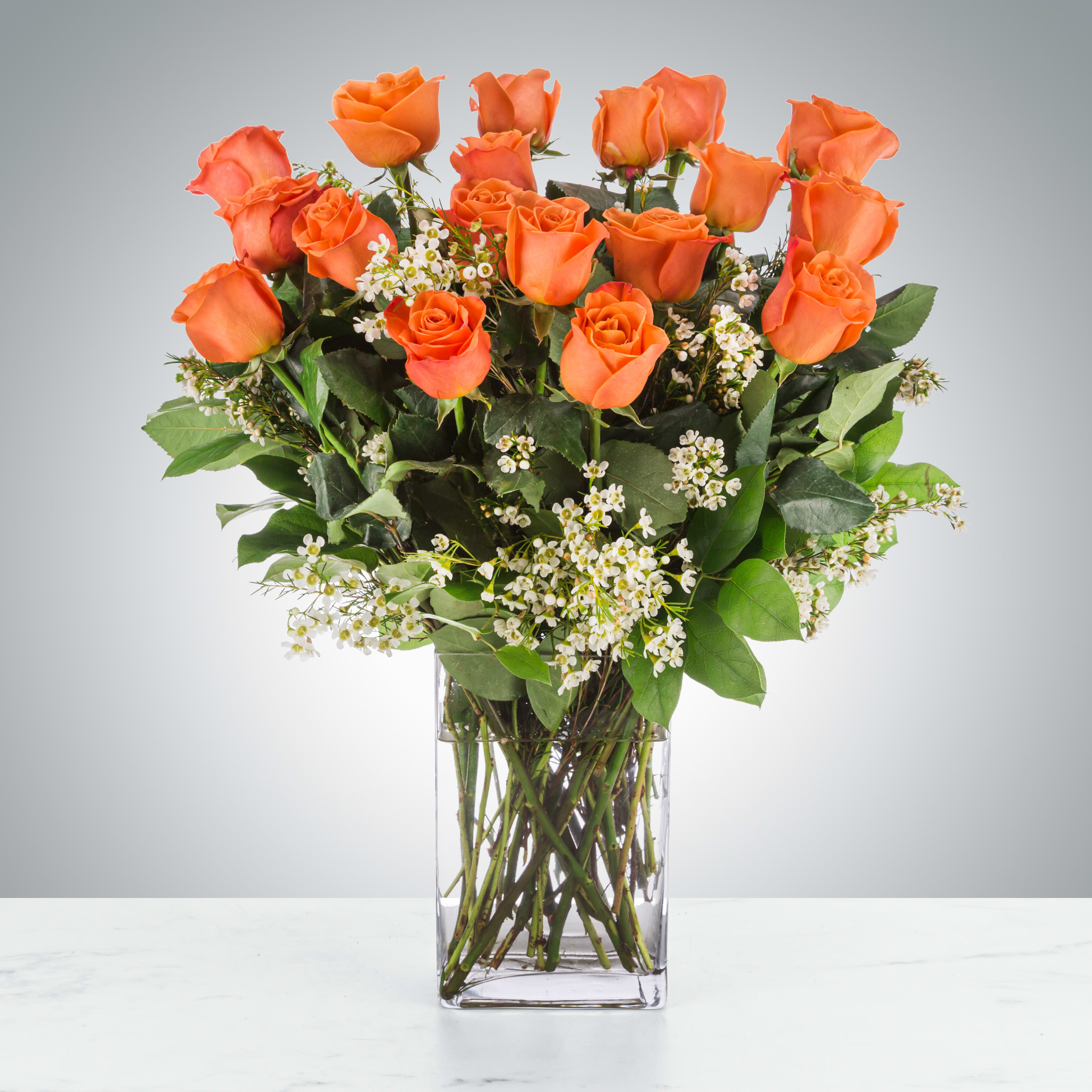 Long Stem Coral Roses by BloomNation™ in Christiansburg, VA Angle